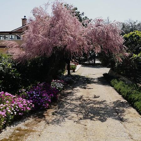 Casa Noemi Daire Sperlonga Dış mekan fotoğraf