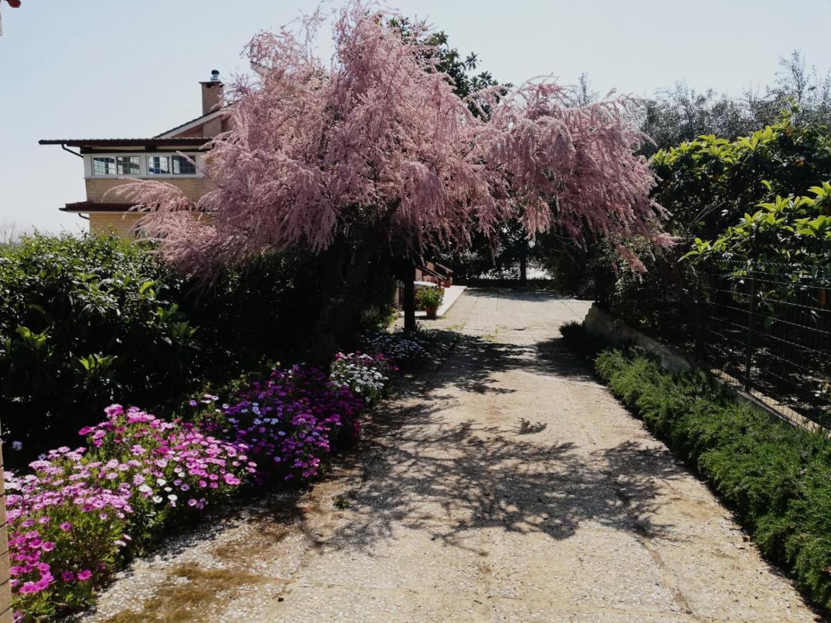 Casa Noemi Daire Sperlonga Dış mekan fotoğraf