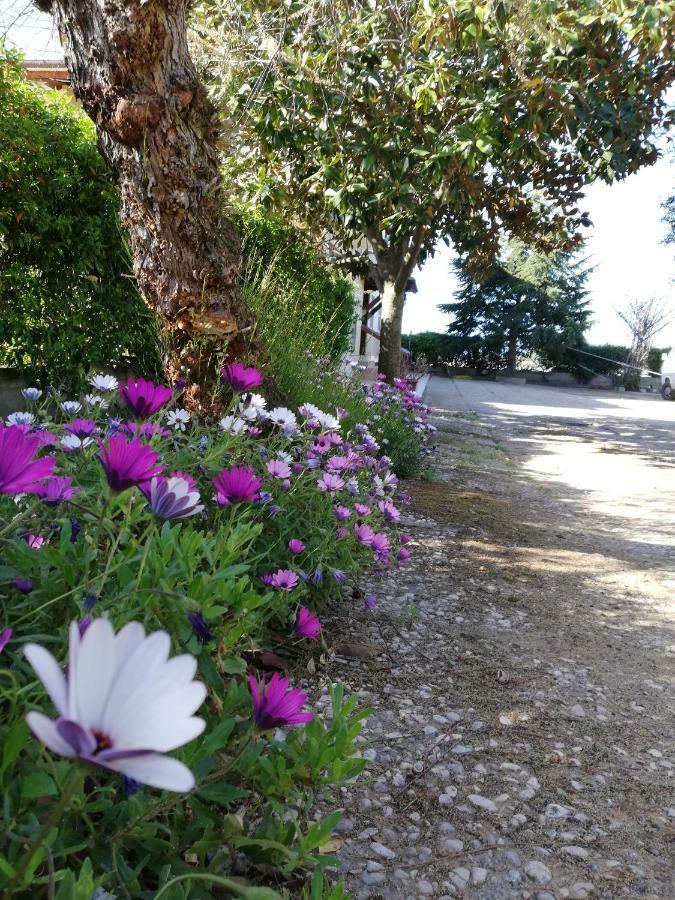 Casa Noemi Daire Sperlonga Dış mekan fotoğraf